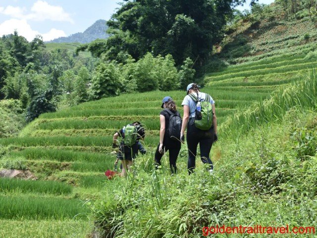 Sapa One Day Trek